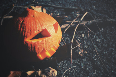 Similar image 8383396