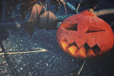 Similar image 8383401