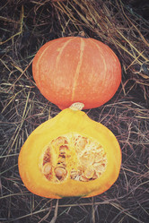 Similar image 8383405