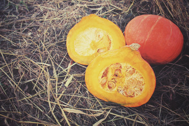 Similar image 8383410