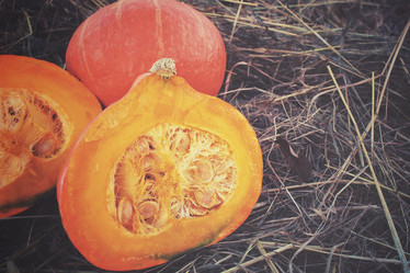 Similar image 8383411