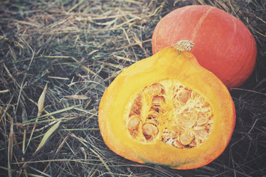 Similar image 8383413