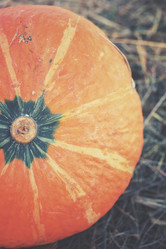 Similar image 8383414