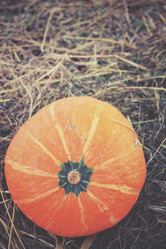 Similar image 8383415