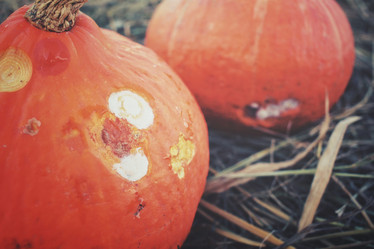 Similar image 8383416