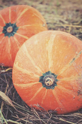 Similar image 8383417