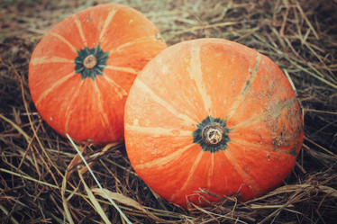 Similar image 8383419