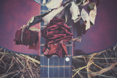 Similar image 8383420