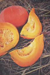 Similar image 8383426