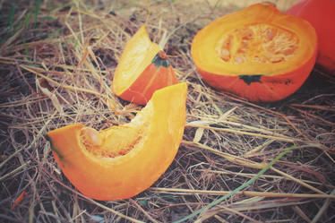 Similar image 8383433