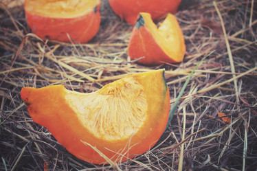 Similar image 8383436