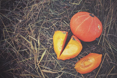 Similar image 8383437