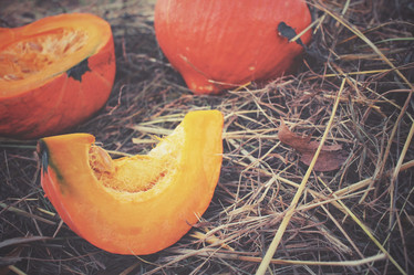 Similar image 8383438