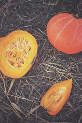 Similar image 8383439