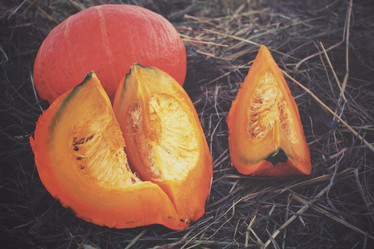 Similar image 8383440