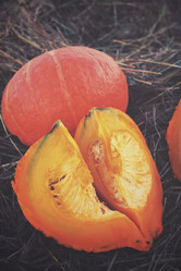 Similar image 8383441