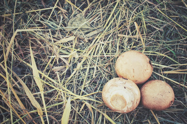 Similar image 8383443