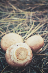 Similar image 8383456