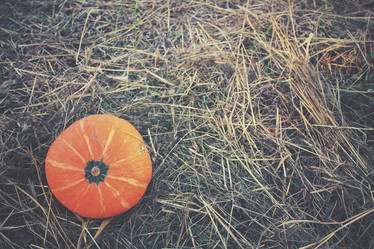 Similar image 8383461