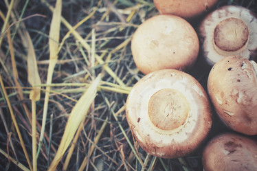 Similar image 8383466