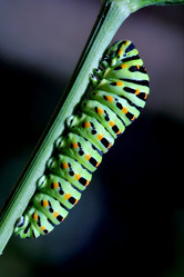 Similar image 8383470