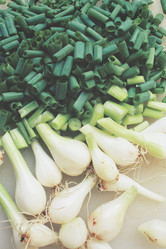 Similar image 8383490