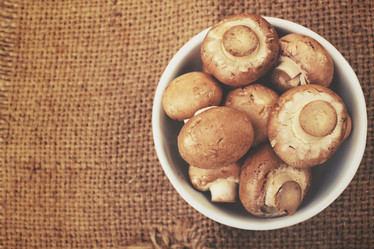 Similar image 8383500