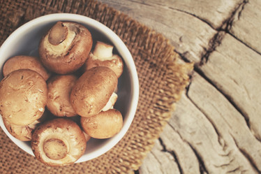 Similar image 8383501