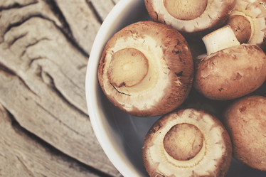 Similar image 8383504