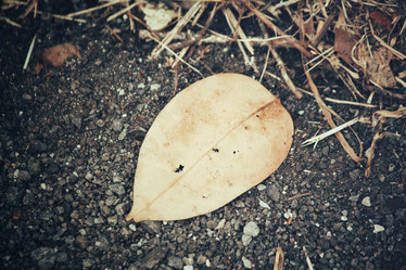 Similar image 8383508