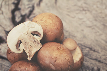 Similar image 8383510