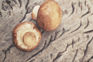 Similar image 8383512