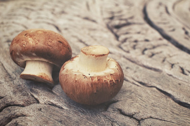 Similar image 8383513