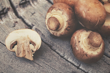 Similar image 8383515