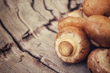 Similar image 8383518