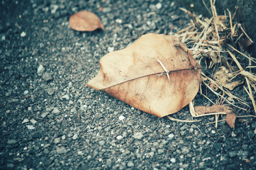 Similar image 8383520