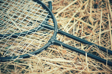 Similar image 8383522