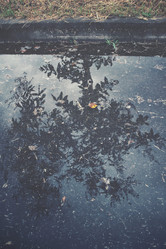 Similar image 8383523