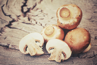 Similar image 8383534