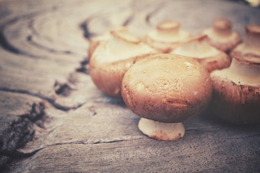 Similar image 8383540