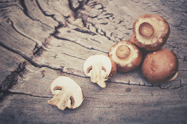 Similar image 8383547