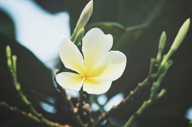 Similar image 8383551