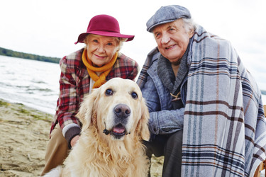 Similar image 8383736