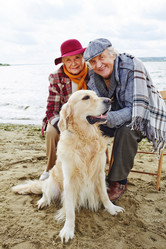 Similar image 8383748