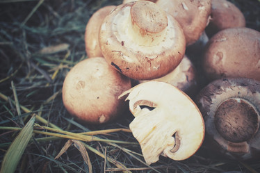 Similar image 8383905