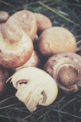 Similar image 8383906