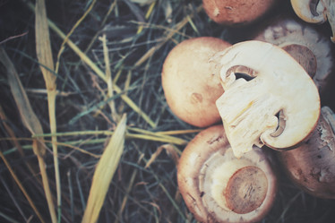 Similar image 8383907