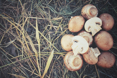 Similar image 8383908