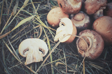 Similar image 8383912