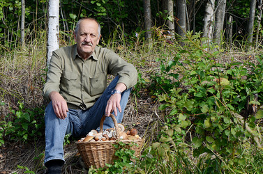 Similar image 8384084